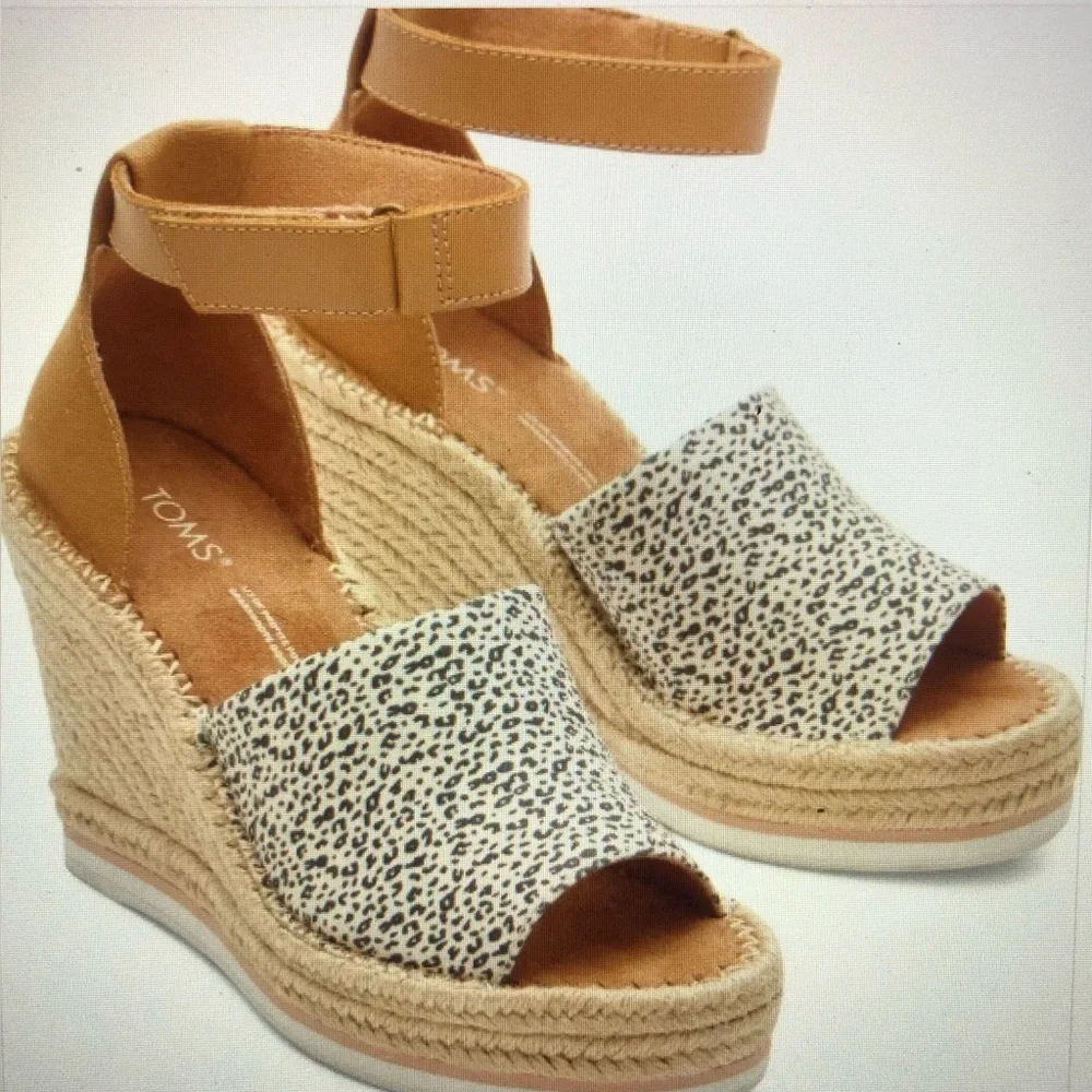 Toms from afternoon